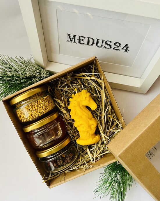 Dāvanu komplekts zirgs