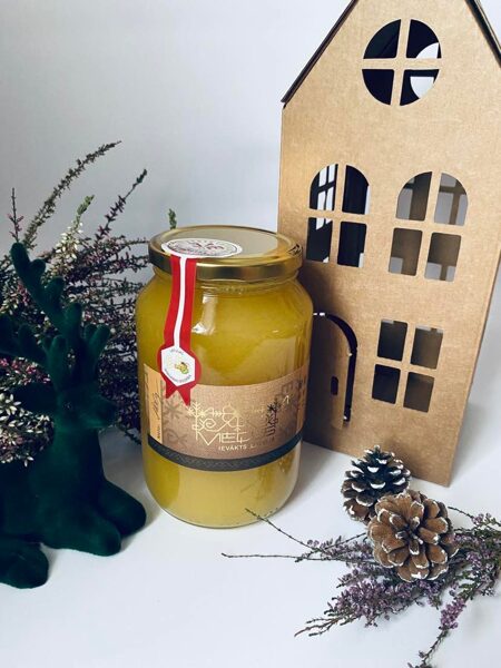 Dažādu ziedu medus 1L dāvanu mājiņā