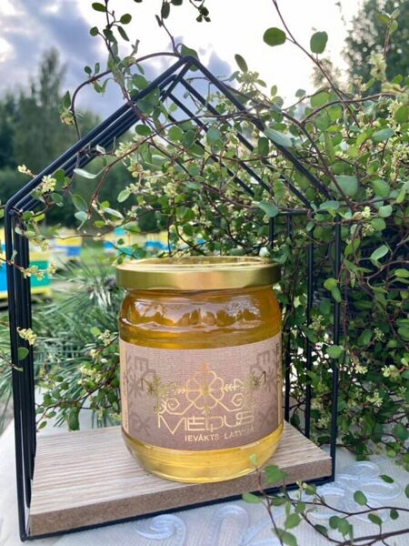Dažādu ziedu medus 420ml (580g)