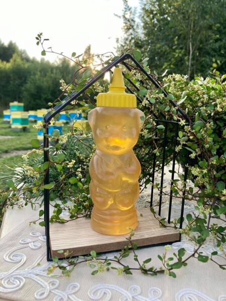 Dažādu ziedu medus lācītis (plasmasa tara ar snīpīti) 280ml (390g)